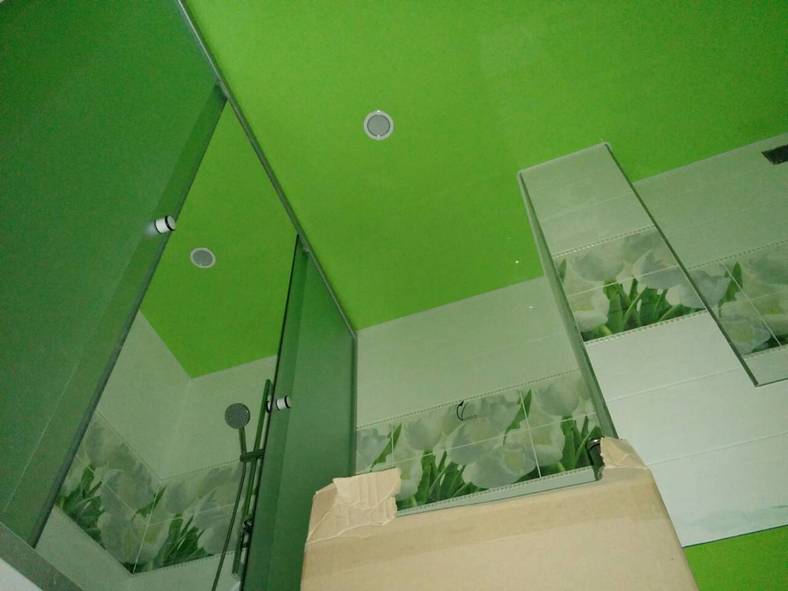 Фото зеленый натяжной потолок